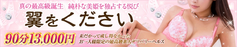 翼をください お一人様限定 東京最高級会員制デリヘル